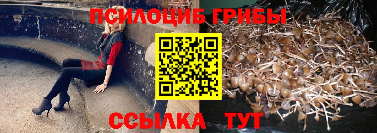 Псилоцибиновые грибы мицелий  Вход с VPN  Ижевск  Галлюциногенные грибы Psilocybine cubensis 